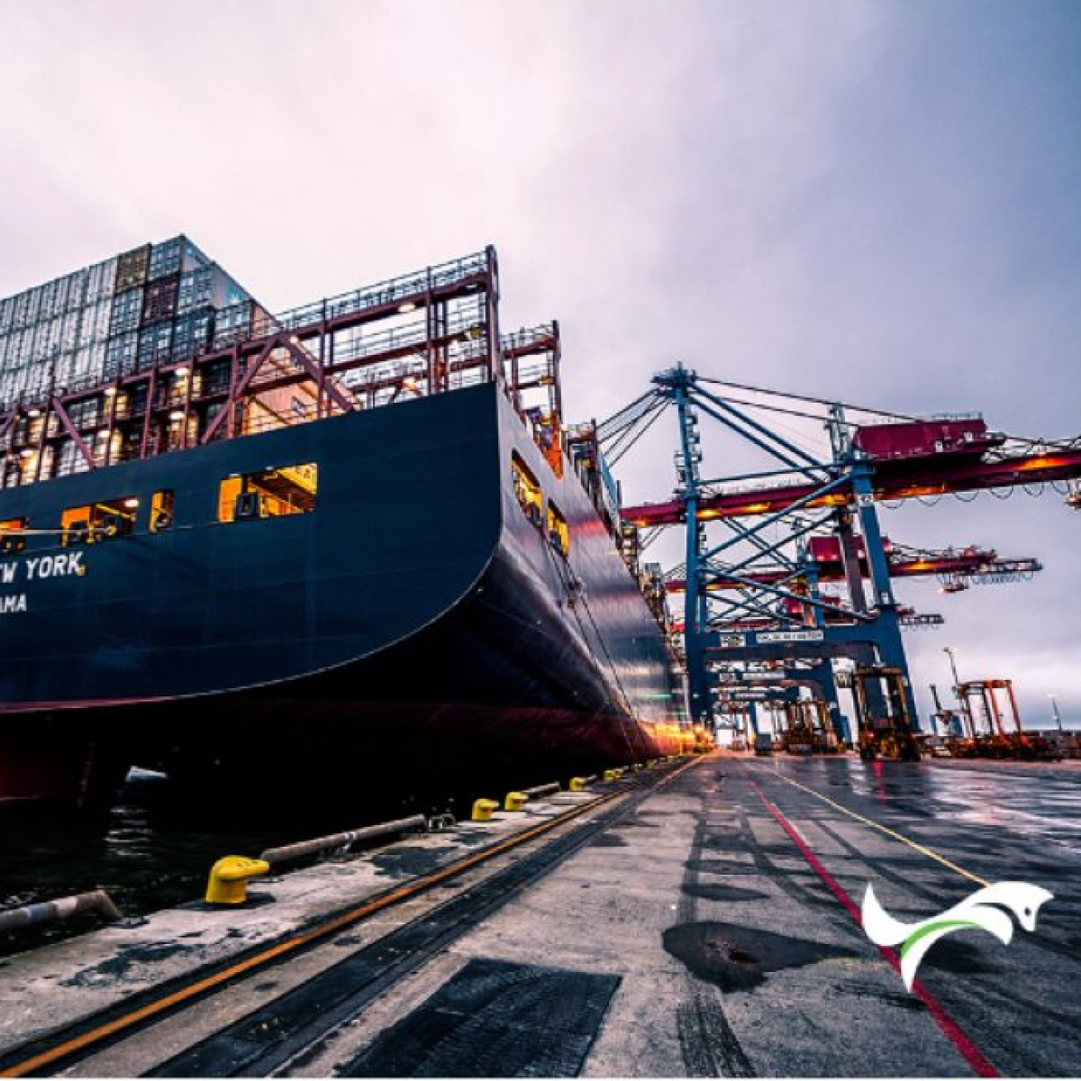 Full-Service Logistic Provider with Bluefox Cargo Group in Mexico